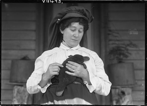 Person holding a platypus while seated outdoors.