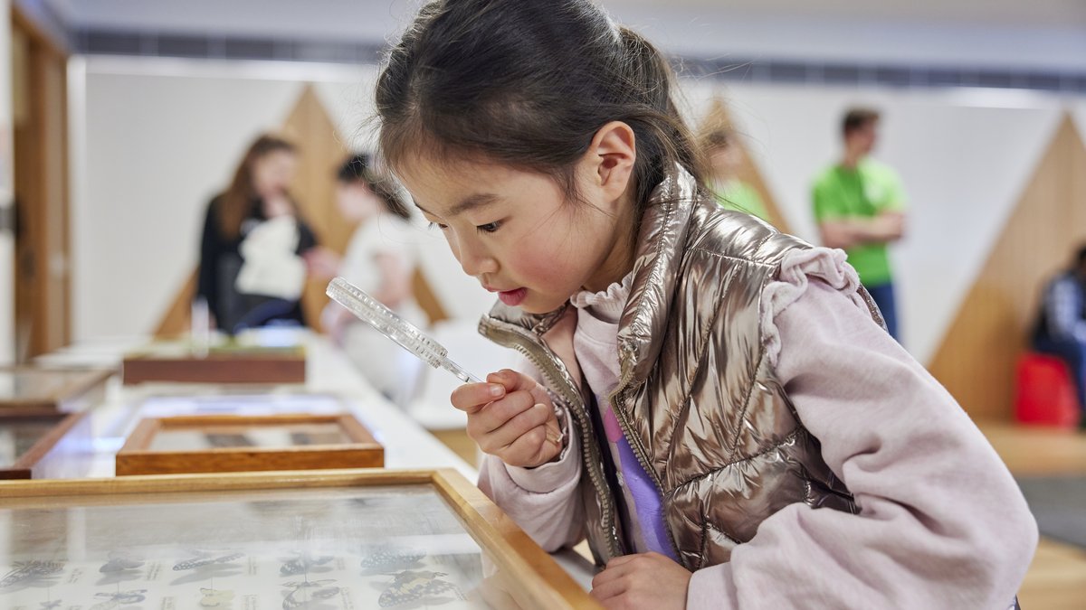 Inspiring young sparks Sydney Science Trail 2025 The Australian Museum