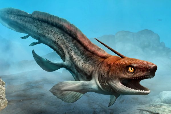 3D illustration of xenacanthus from the Triassic era.
