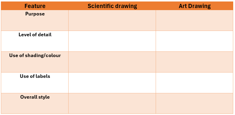 Scientific vs artistic drawing table