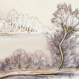 <i>2023 Australian Geographic Nature Photographer of the Year</i>
<p>Winner Landscape: Intricate by Tania Malkin, Northern Territory. 
<p><i>Intricate is an image of an alluvial fan on the flood plains of the Joseph Bonaparte Gulf rivers and their creeks. A landscape within a landscape, the water flow illustrates a tree, clouds and soil. The alluvial fans show the history of the waters’ flow and illustrate how they bring life to the region in the wet season.</i>