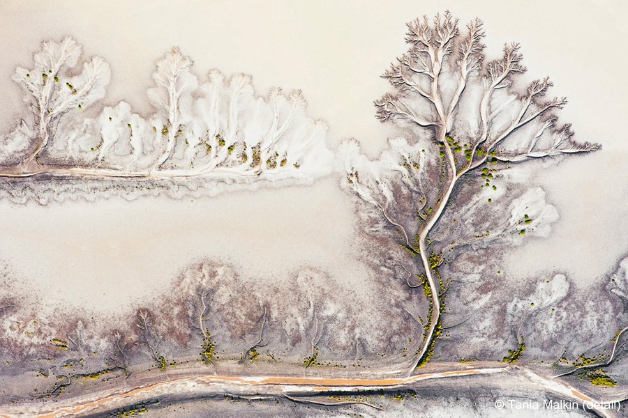 2023 AGNPY Winner Landscape: Intricate by Tania Malkin