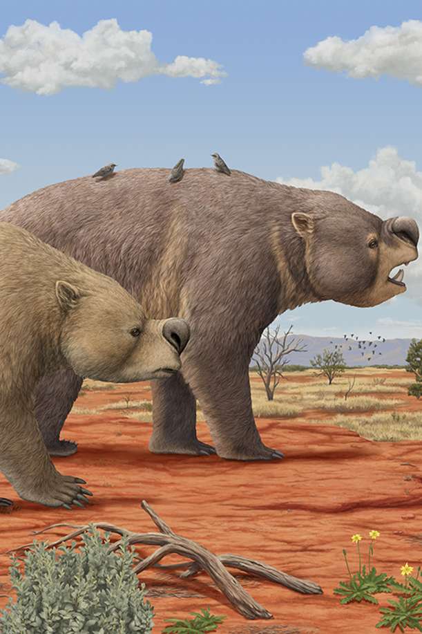 Surviving Australia - Pliocene environment of Australia.