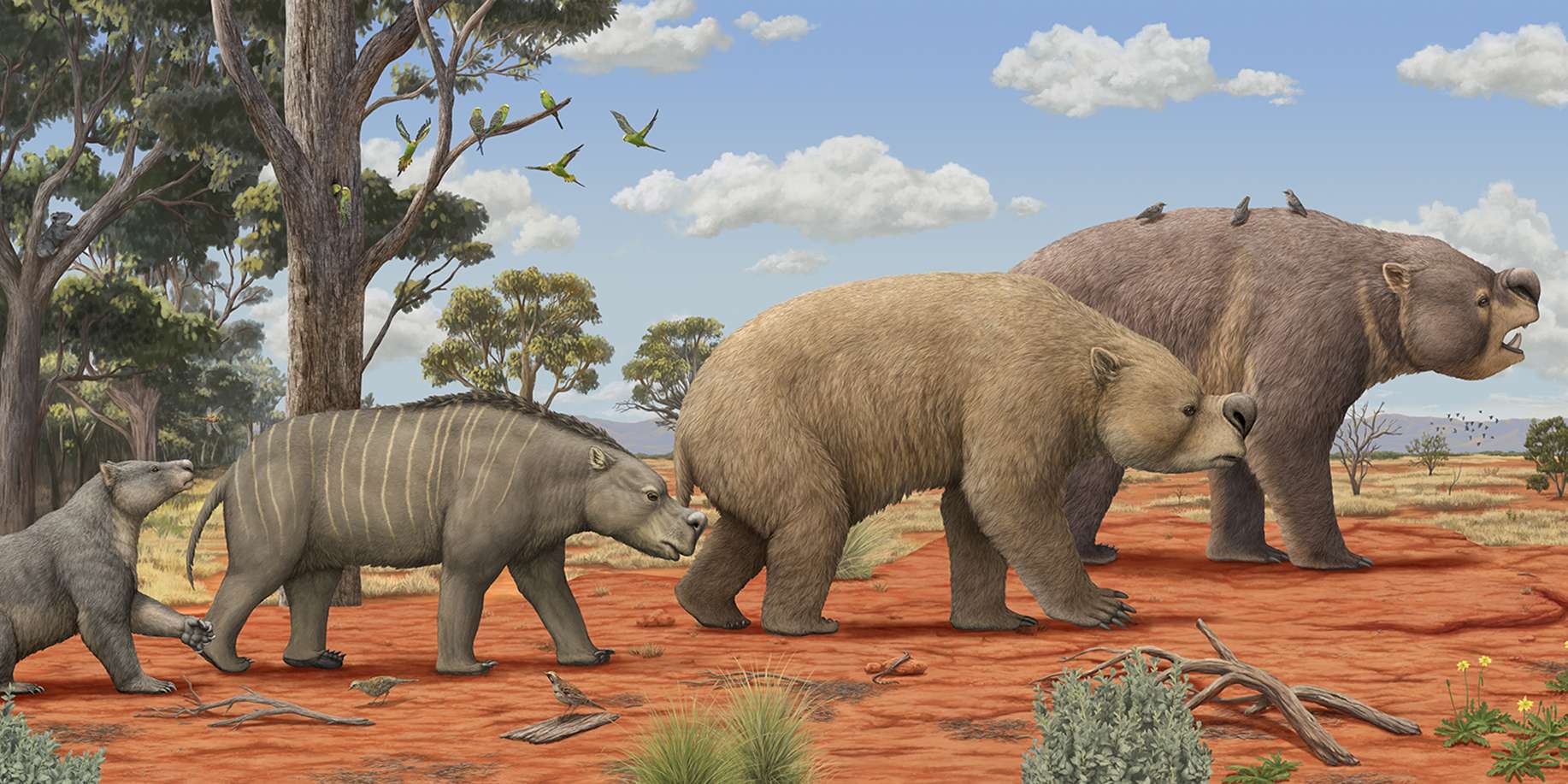 Surviving Australia - Pliocene environment of Australia.