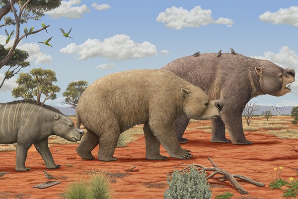 Surviving Australia - Pliocene environment of Australia.