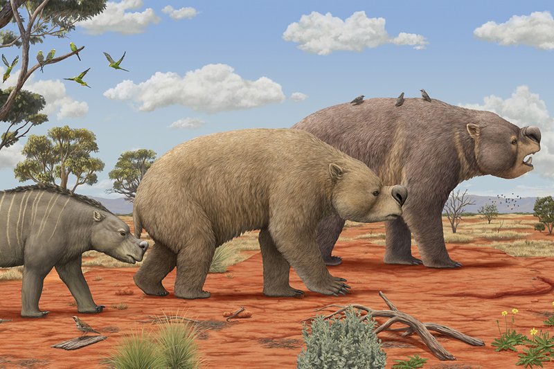 Surviving Australia, Prehistoric Australia - Pliocene environment of Australia.