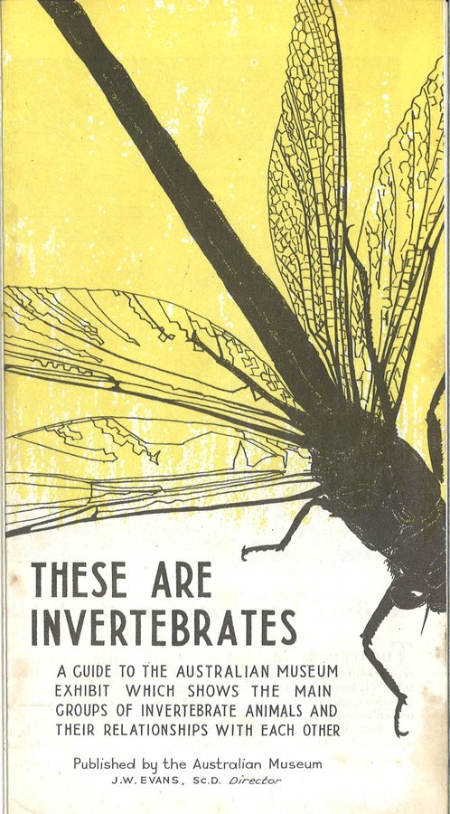Museum displays: Invertebrate and Vertebrate Tree - The Australian ...