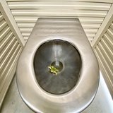 <i>2023 Australian Geographic Nature Photographer of the Year</i>
<p>
Winner Urban Animals: Frog In A Bog by Tom Owen Edmunds, New South Wales.
<p><i>One of the joys of Australia is that nature is everywhere. I love rural Australia – and the ever present dunny frogs – and liked the space-age look of this dunny juxtaposed with the ancient frog. My brother-in-law tells me a frog in the dunny means the water is clean ... better that than a snake! </i>