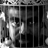 MARLON NOBLE YAMATJI MAN

Unfinished Business reveals the stories of people with disabilities from the Australian Aboriginal and Torres Strait Islander communities.