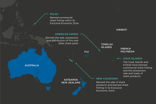 Live shark finning in Australia and Pacific countries