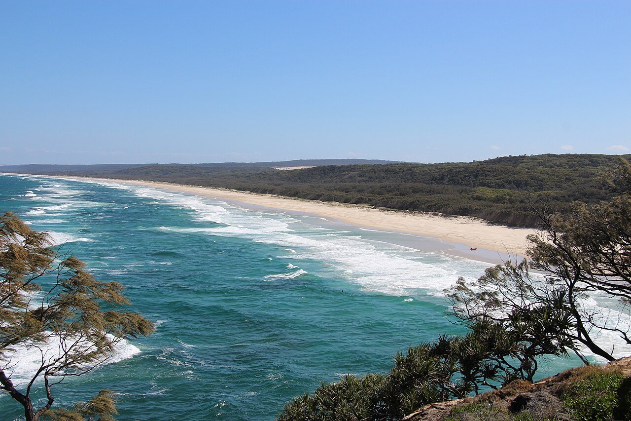 Photograph of a beach with bright blue sea on the left and thick forest on the right.
