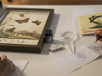 Scott sisters drawing program