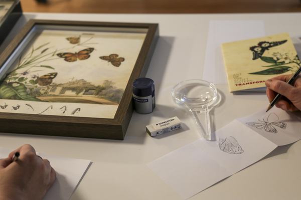 Scott sisters drawing program