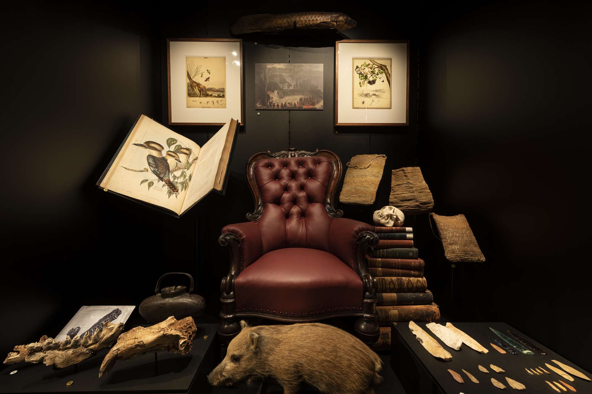 Krefft's chair