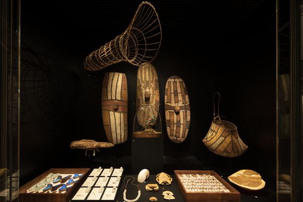 Rainforest shields – 200 Treasures