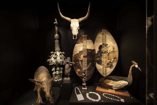 Zulu Shields - 200 Treasures