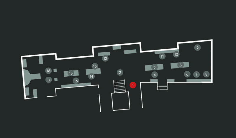 Wild Planet audio guide map; Welcome to Wild Planet stop 1
