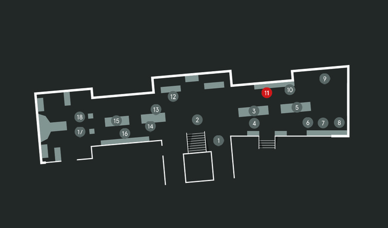 Wild Planet audio guide map; Gorilla stop 11