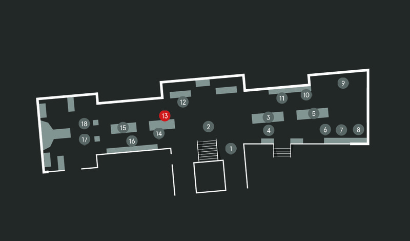 Wild Planet audio guide map; Bison stop 13
