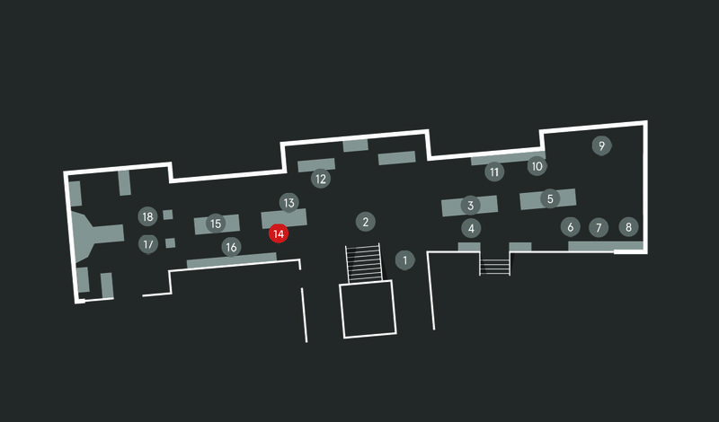 Wild Planet audio guide map; Aye-aye stop 14