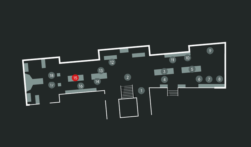 Wild Planet audio guide map; Elephant skeletons stop 15
