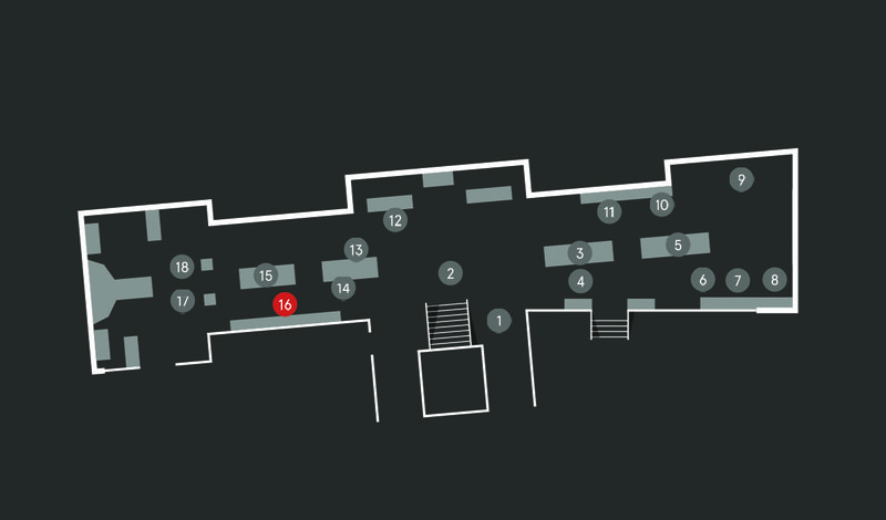 Wild Planet audio guide map; Brown Bear stop 16