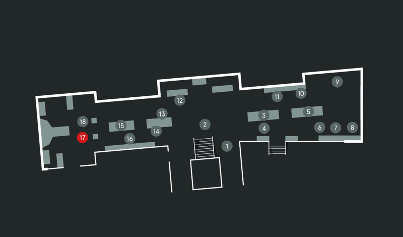 Wild Planet audio guide map; Cabinet of birds stop 17