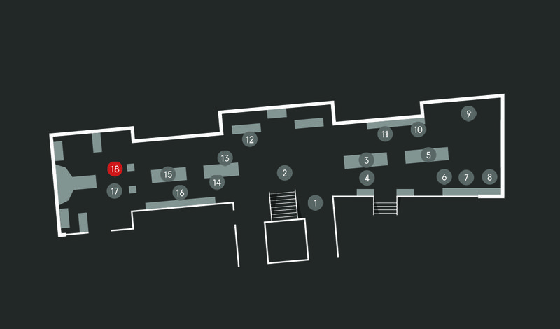 Wild Planet audio guide map; Case of monkeys stop 18