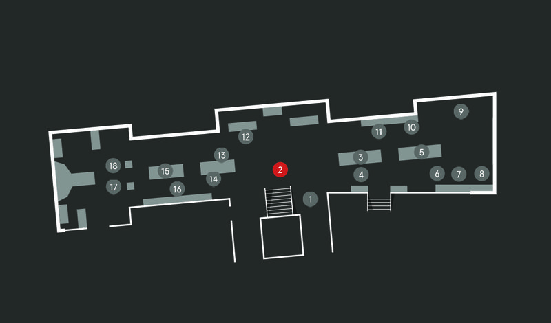 Wild Planet audio guide map; Sperm Whale stop 2