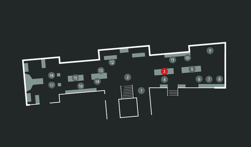 Wild Planet audio guide map; Black Rhinoceros stop 3