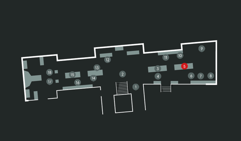Wild Planet audio guide map; Giraffe stop 5