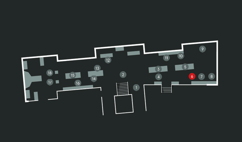 Wild Planet audio guide map; Echidna stop 6