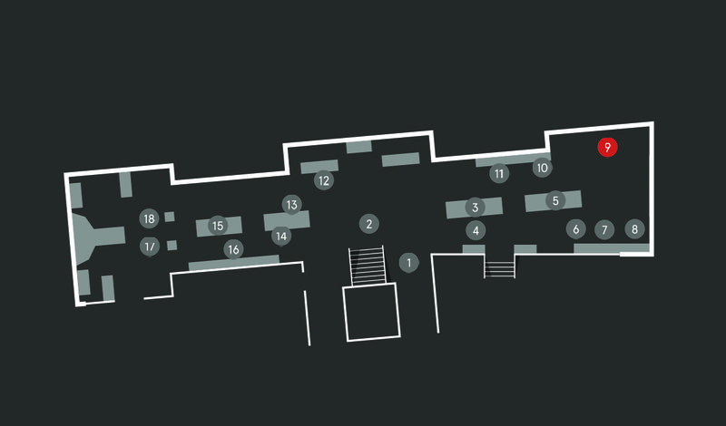 Wild Planet audio guide map; Tree of Life stop 9