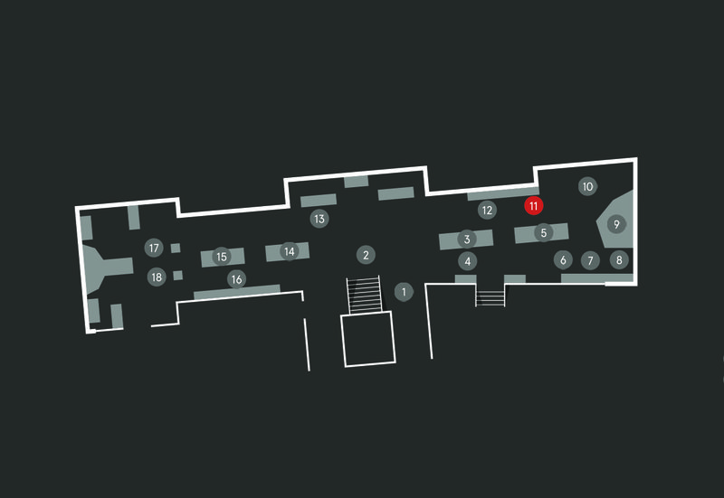Wild Planet audio guide map; Gorilla stop 11