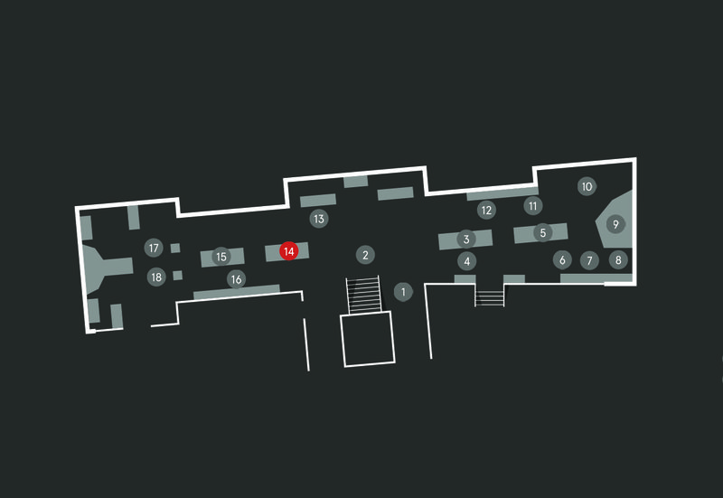 Wild Planet audio guide map; Aye-aye stop 14