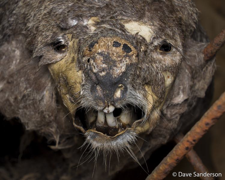 2026 Australian Geographic Nature Photographer of the Year. Our Impact Winner: Neglect by Dave Sanderson