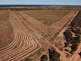 A a land restoration project at Acraman Creek in South Australia