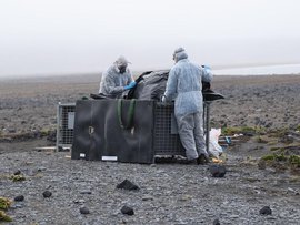 Antarctic program researchers