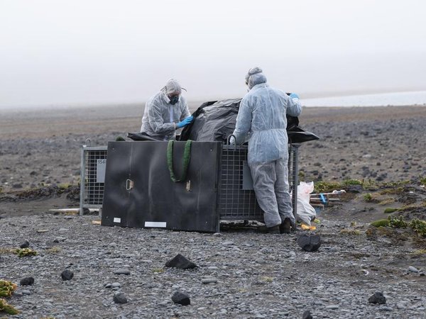 Antarctic program researchers