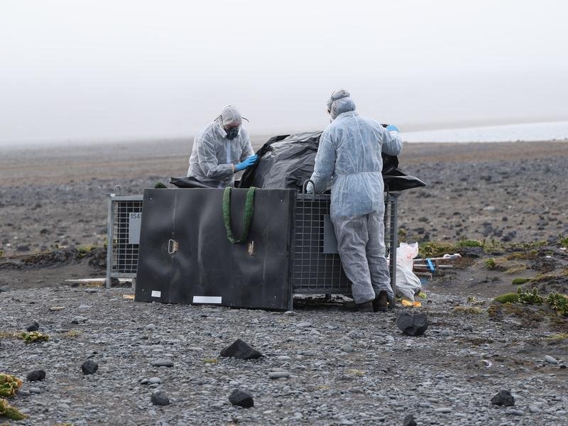 Antarctic program researchers