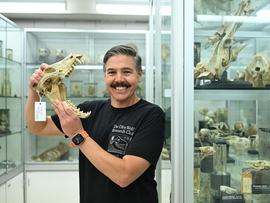 Professor Andrew Pask