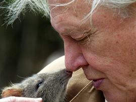 David Attenborough