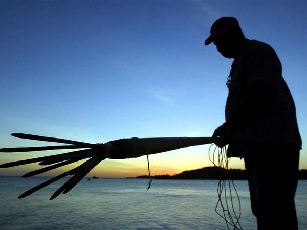A man holds a traditional fishing spear (file image)