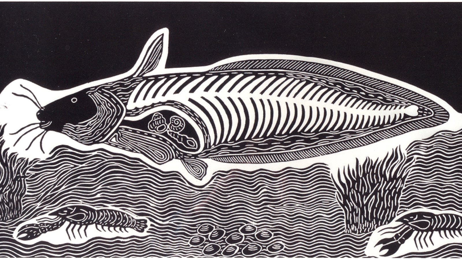 'No More Catfish' linoprint by Badger Bates (2004), New South Wales, Australia.