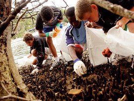 Kids removing rubbish from a foreshore (file)