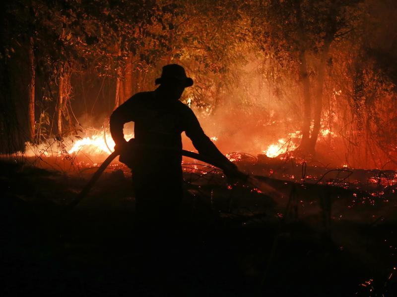 A firefighter sprays water in an attempt to extinguish a wildfire