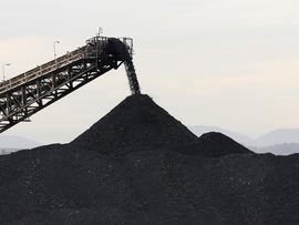 Coal
