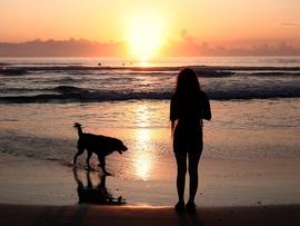 Sunrise on a beach (file image)