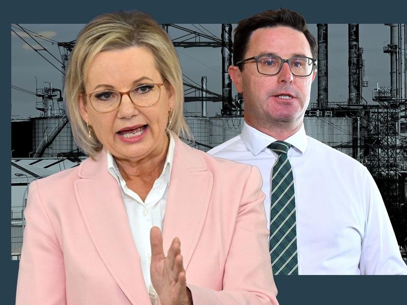 Sussan Ley and David Littleproud (file images)