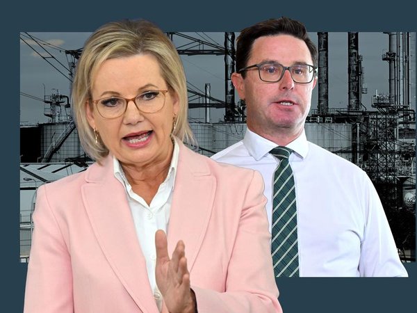 Graphic of federal coalition leaders Sussan Ley and David Littleproud